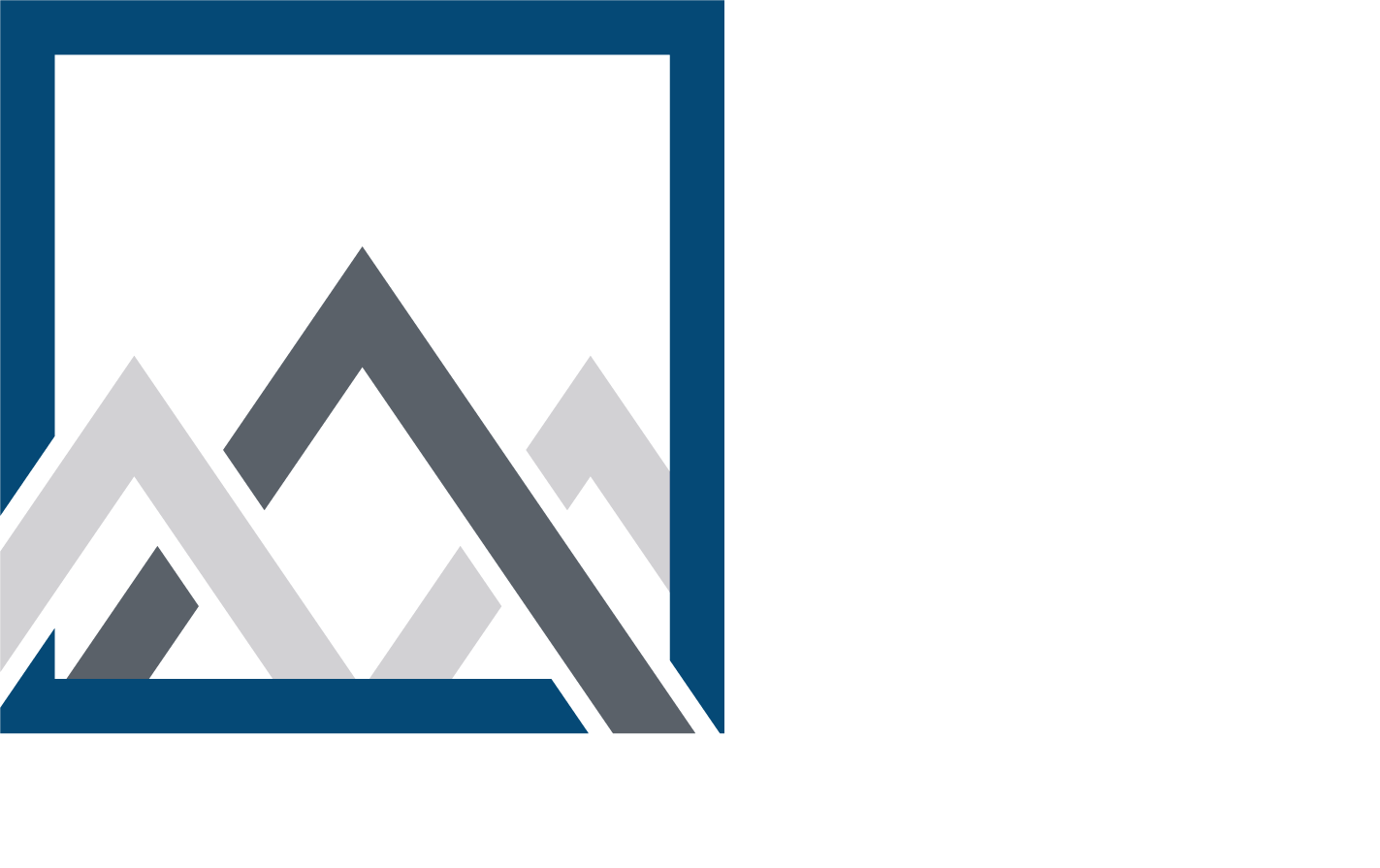 Mountain Secure Systems Logo